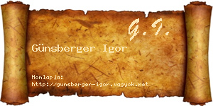 Günsberger Igor névjegykártya